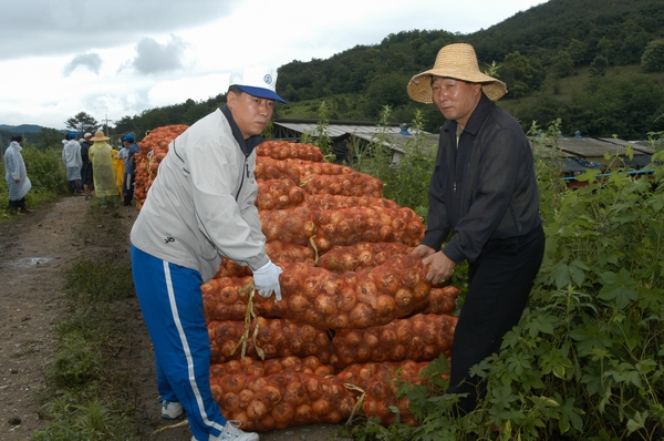 태풍