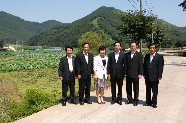 대니골 연꽃축제 (8. 20. 구지면 오설리 현장)
