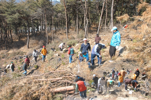 2005년 식목 행사 참석 (3. 19. 논공읍 현장)