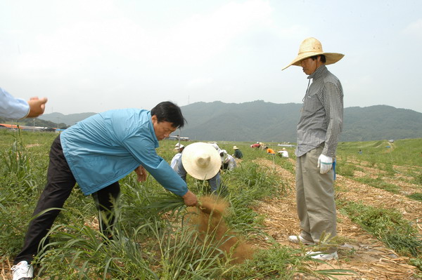 공무원 농촌 일손돕기 참여 및 격려 (6. 14. ~ 6. 15.)
